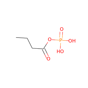 Butyryl phosphate